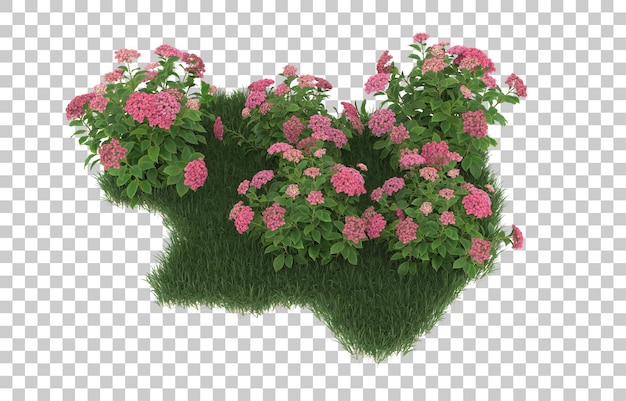 Gras und blumen auf transparentem hintergrund. 3d-rendering - abbildung