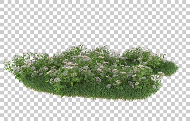 Gras und Blumen auf transparentem Hintergrund. 3D-Rendering - Abbildung