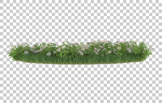Gras und Blumen auf transparentem Hintergrund. 3D-Rendering - Abbildung