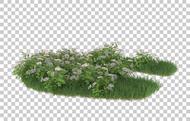Gras und Blumen auf transparentem Hintergrund. 3D-Rendering - Abbildung