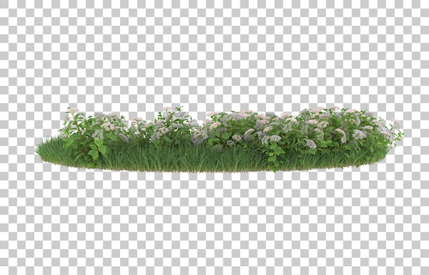 Gras und Blumen auf transparentem Hintergrund. 3D-Rendering - Abbildung