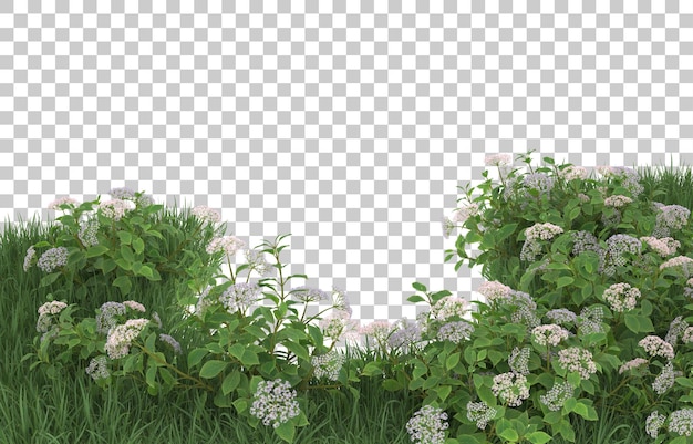 PSD gras und blumen auf transparentem hintergrund. 3d-rendering - abbildung