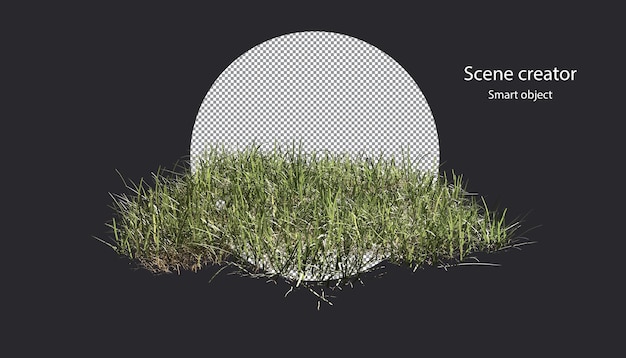 Gras- und Blumenfeld isolierter Wiesen-Beschneidungspfad
