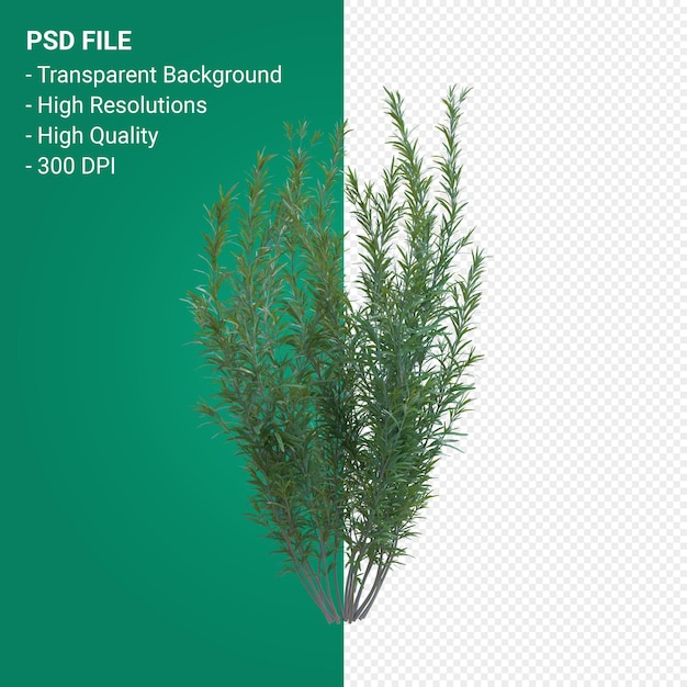 Grasbaum 3d render isoliert