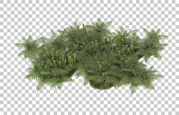 Grasfeld auf transparentem Hintergrund. 3D-Rendering - Abbildung