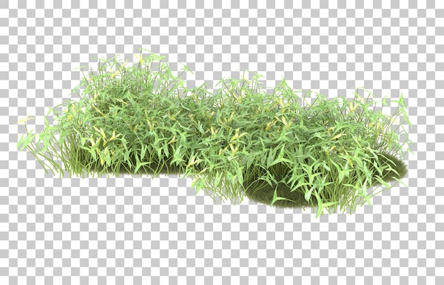 Grasfeld auf transparentem hintergrund. 3d-rendering - abbildung