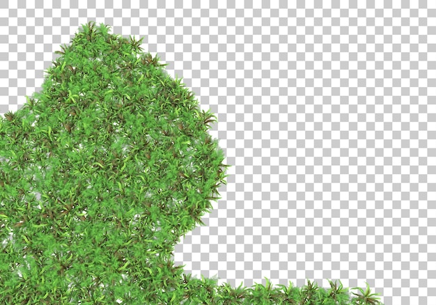 Grasfeld auf transparentem hintergrund 3d-rendering-illustration