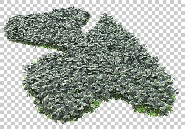 Grasfeld auf transparentem Hintergrund 3D-Rendering-Illustration