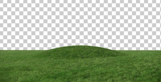 Grasfeld-Landschaft scena Ausschnitt