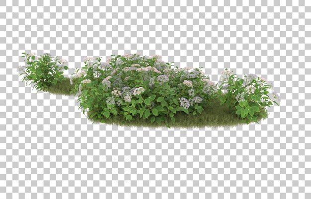 Grasfeld mit Blumen auf transparentem Hintergrund. 3D-Rendering - Abbildung