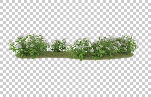 Grasfeld mit blumen auf transparentem hintergrund. 3d-rendering - abbildung