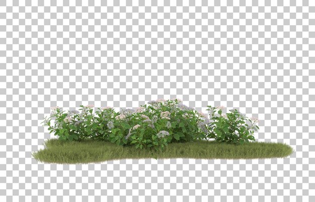 Grasfeld mit Blumen auf transparentem Hintergrund. 3D-Rendering - Abbildung