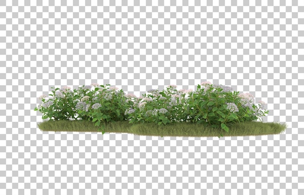 Grasfeld mit Blumen auf transparentem Hintergrund. 3D-Rendering - Abbildung