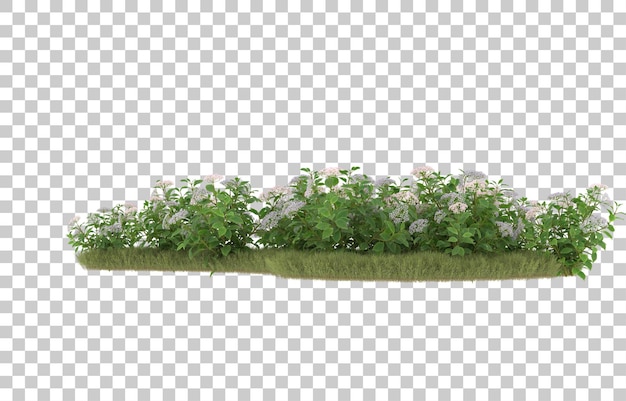 Grasfeld mit Blumen auf transparentem Hintergrund. 3D-Rendering - Abbildung