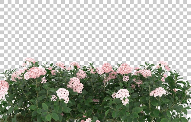 Grasfeld mit Blumen auf transparentem Hintergrund. 3D-Rendering - Abbildung