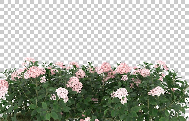 Grasfeld mit blumen auf transparentem hintergrund. 3d-rendering - abbildung