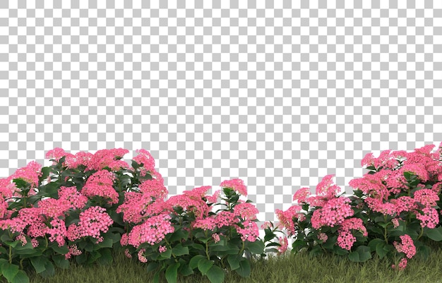 Grasfeld mit blumen auf transparentem hintergrund. 3d-rendering - abbildung