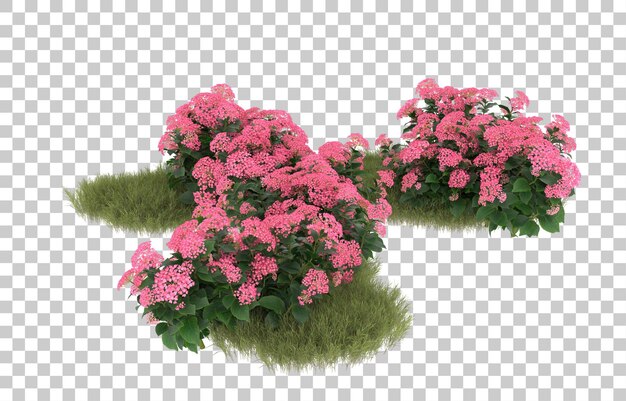 Grasfeld mit Blumen auf transparentem Hintergrund. 3D-Rendering - Abbildung