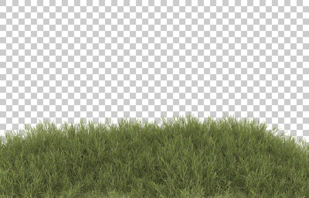 Grasfeld mit Blumen auf transparentem Hintergrund. 3D-Rendering - Abbildung