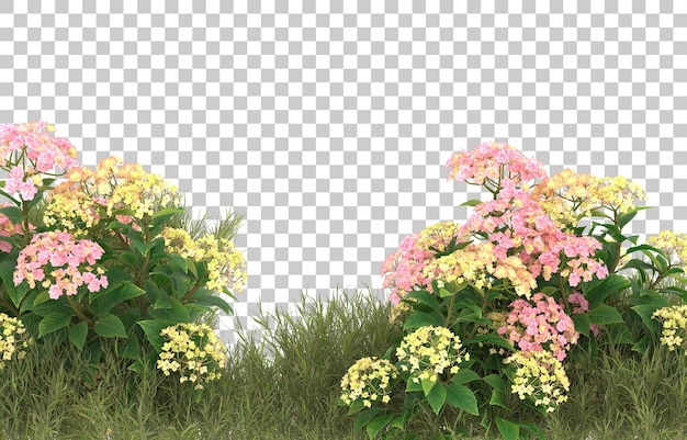 Grasfeld mit blumen auf transparentem hintergrund. 3d-rendering - abbildung