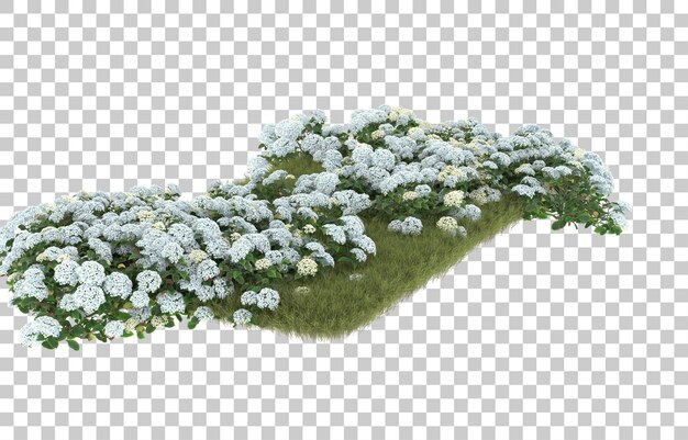 Grasfeld mit Blumen auf transparentem Hintergrund. 3D-Rendering - Abbildung