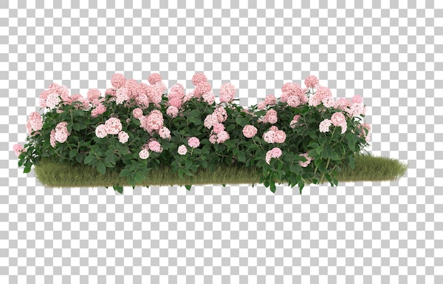 Grasfeld mit blumen auf transparentem hintergrund. 3d-rendering - abbildung