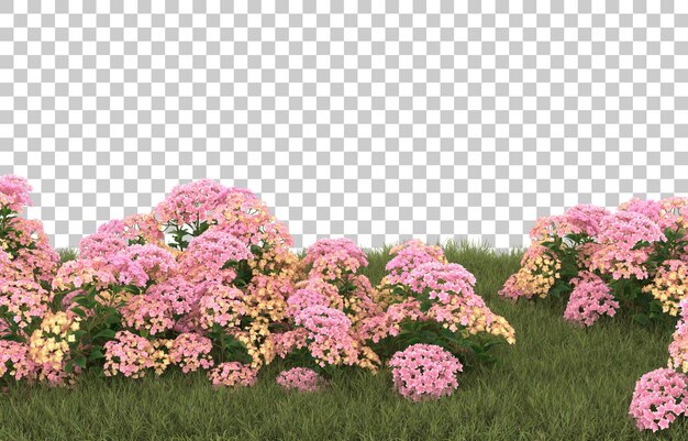 Grasfeld mit Blumen auf transparentem Hintergrund. 3D-Rendering - Abbildung