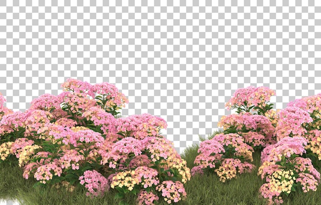 Grasfeld mit Blumen auf transparentem Hintergrund. 3D-Rendering - Abbildung