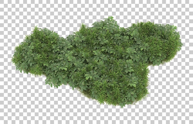 Grasfeld mit Blumen auf transparentem Hintergrund. 3D-Rendering - Abbildung