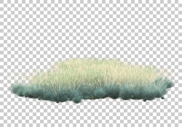 Grasfeld mit transparentem Hintergrund 3D-Rendering-Illustration