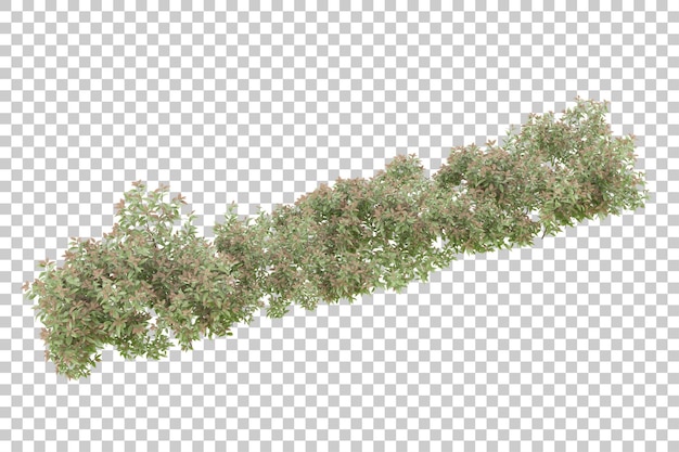 Grasfeld mit transparentem Hintergrund 3D-Rendering-Illustration