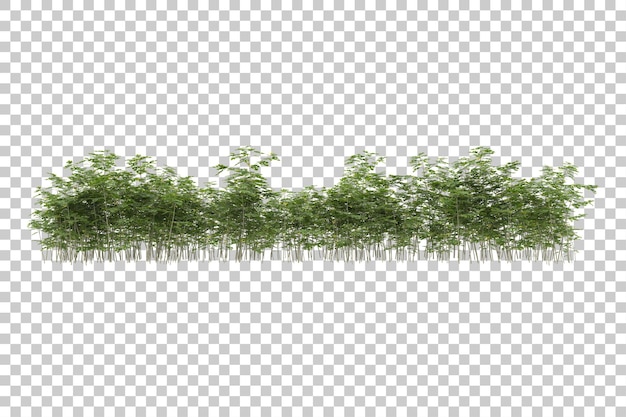 Grasfeld mit transparentem Hintergrund 3D-Rendering-Illustration