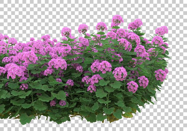 Grasfeld mit transparentem Hintergrund 3D-Rendering-Illustration