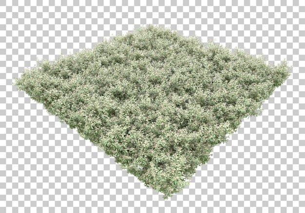 Grasfeld mit transparentem Hintergrund 3D-Rendering-Illustration
