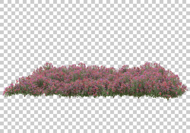 Grasfeld mit transparentem Hintergrund 3D-Rendering-Illustration