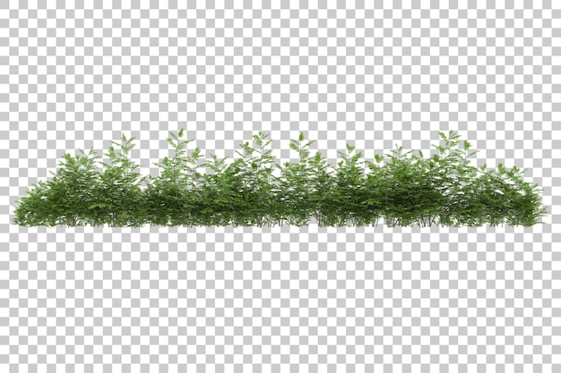 Grasfeld mit transparentem Hintergrund 3D-Rendering-Illustration