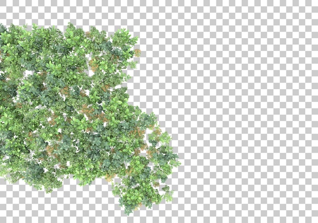 Grasfläche auf transparentem hintergrund 3d-darstellung