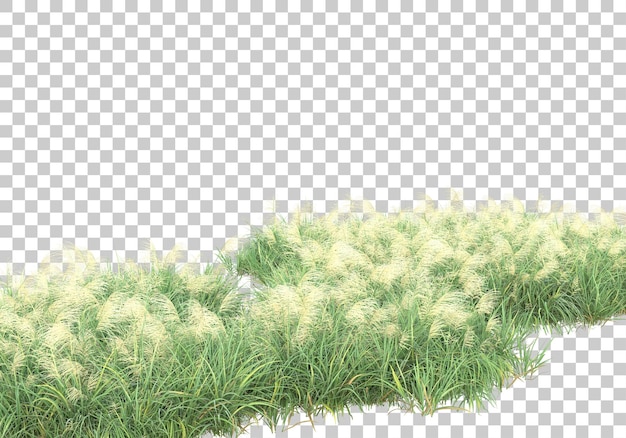 Grasfläche auf transparentem Hintergrund 3D-Darstellung