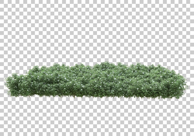 Grasinsel auf transparentem Hintergrund 3D-Darstellung