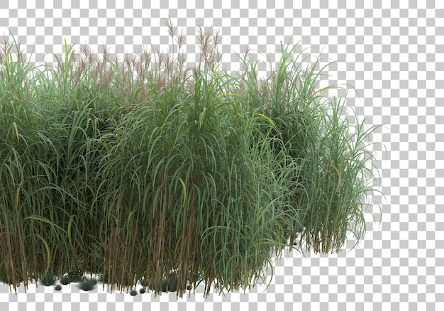 Grasinsel auf transparentem Hintergrund 3D-Rendering-Illustration