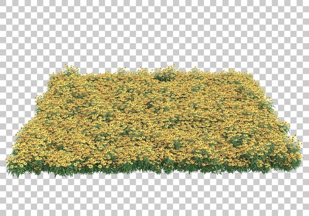 Grasinsel auf transparentem Hintergrund 3D-Rendering-Illustration