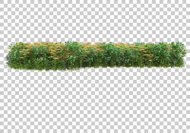 Grasinsel auf transparentem Hintergrund 3D-Rendering-Illustration