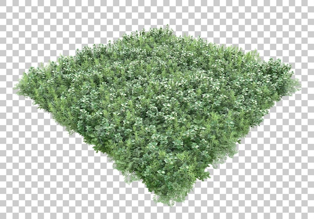 Grasinsel auf transparentem Hintergrund 3D-Rendering-Illustration
