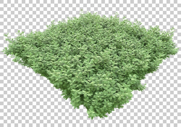 Grasinsel auf transparentem Hintergrund 3D-Rendering-Illustration
