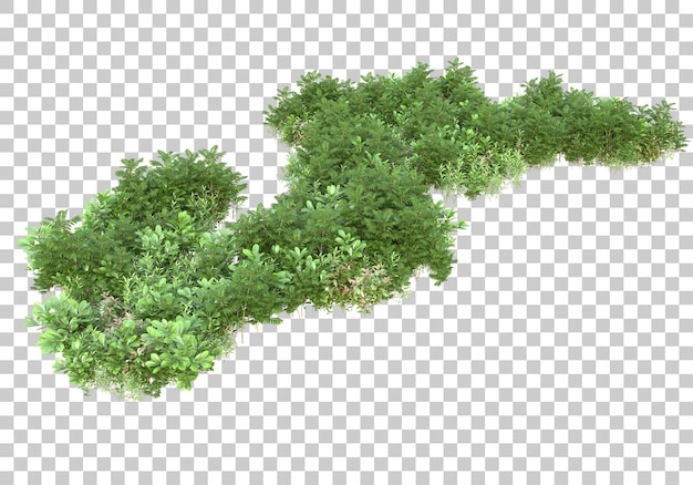 Grasinsel mit Blumen auf transparentem Hintergrund 3D-Darstellung
