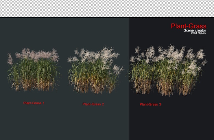 PSD grass and a wide variety of plants