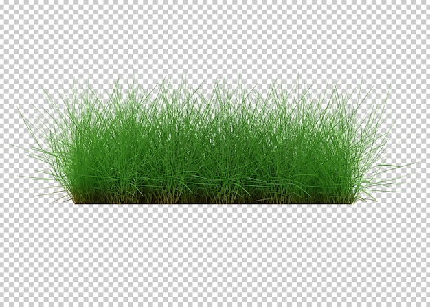 grass cutout 3d rendering illustration