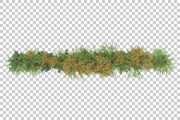 grass field for composition isolated on background with mask 3d rendering illustration