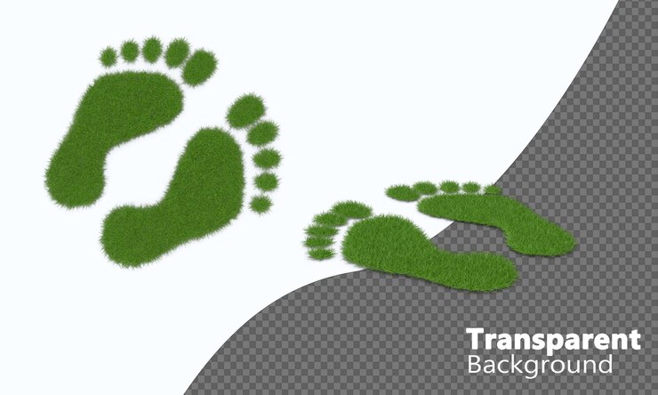 PSD grass footprints isolated on a transparent background