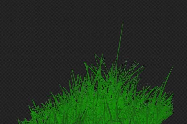 PSD grass isolated on transparent background